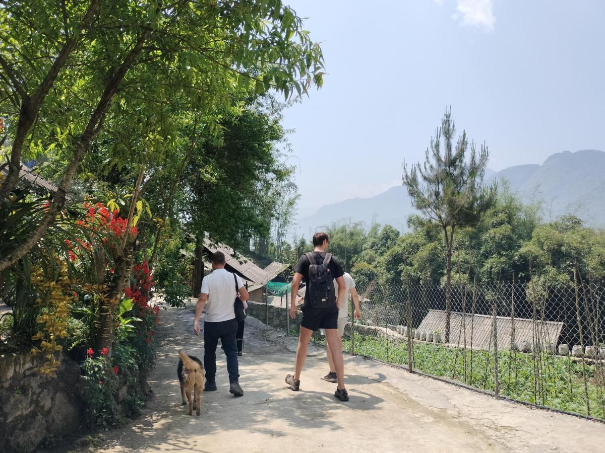 Flying Horse B & B 萨帕 外观 照片