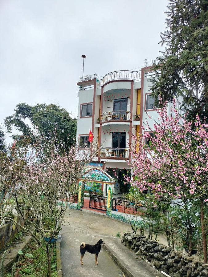 Flying Horse B & B 萨帕 外观 照片